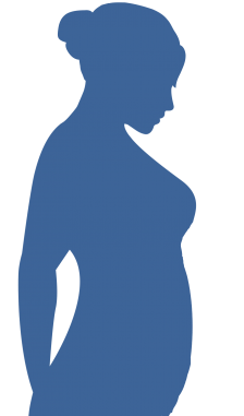 Shape